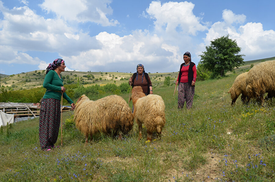 Erkekler çobanlığa yanaşmıyor, çünkü çobana kız verilmiyor. Görüyoruz ki, erkeklerden boşalan bu peygamber mesleğine de kadınlar sahip çıkıyor.