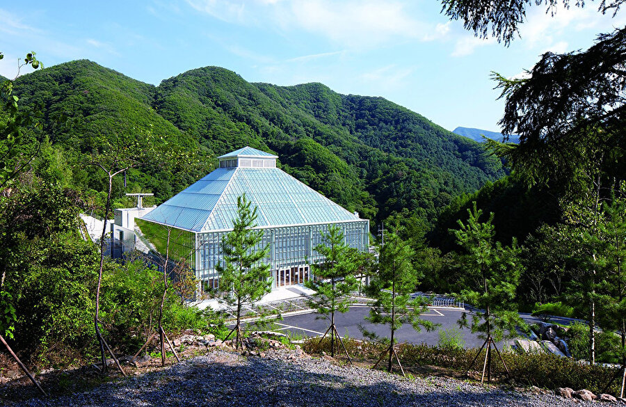 Kilise, Güney Kore’de yeşil dağların arasında yer alıyor.