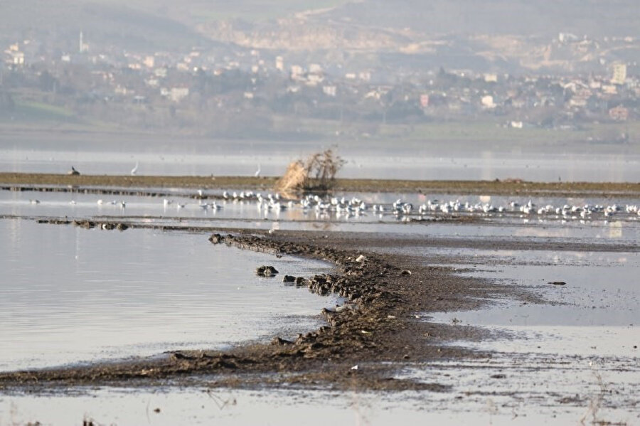 Büyükçekmece Gölü 13 yılın en düşük seviyesini gördü