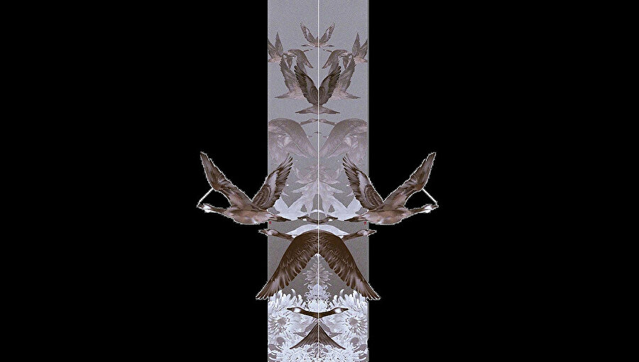 Zulüm zamanlarında zulme karşı oldukları için tam 55 insan asılmıştı. 