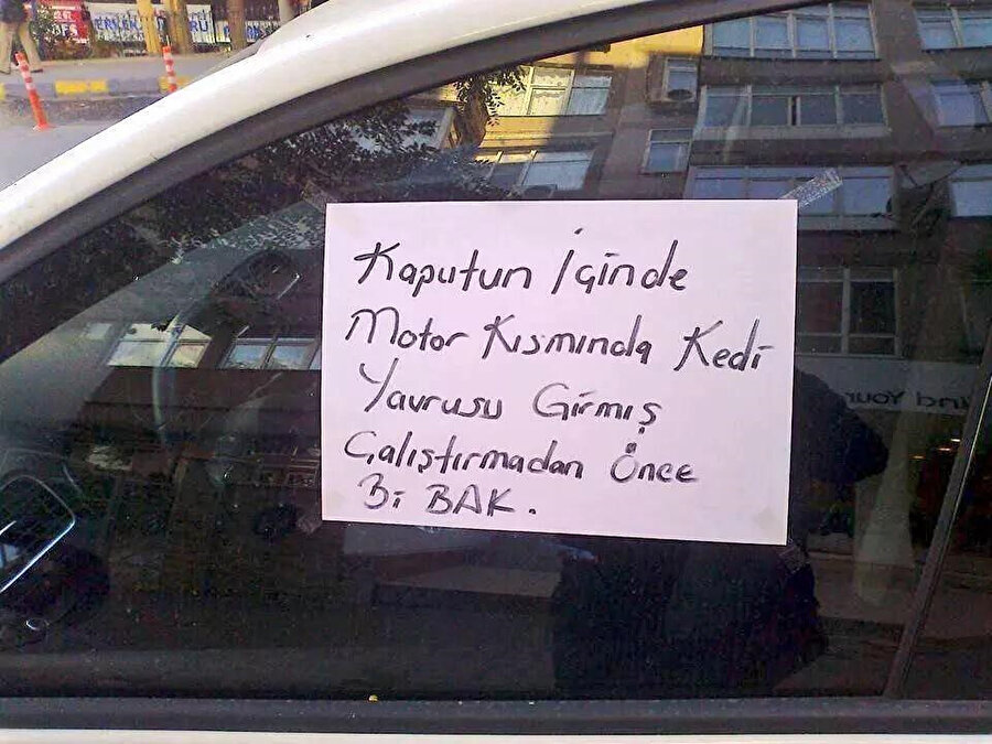 Umutlar bi' tık yeşerdi