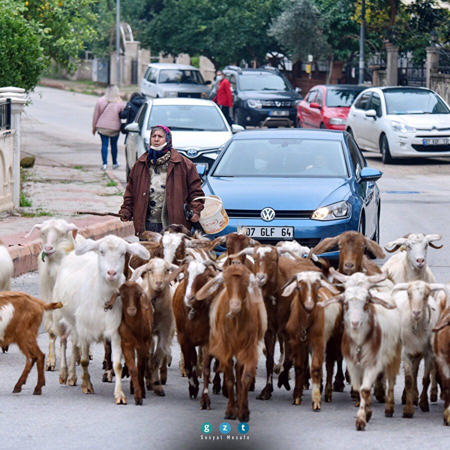 'Şehirdeki çoban' Menşure Teyze
