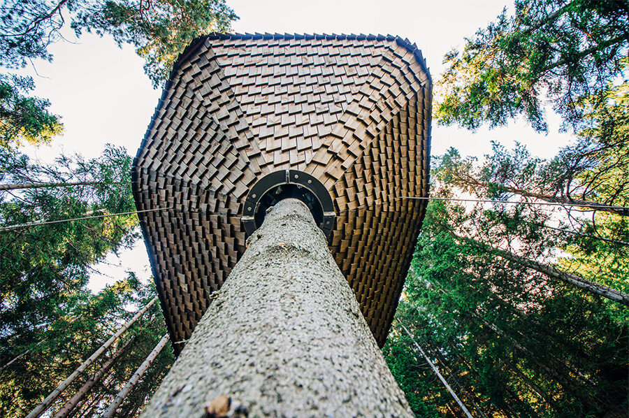 Woodnest Cabin yaşayan ağaça çelik bilezikle tutturuldu.