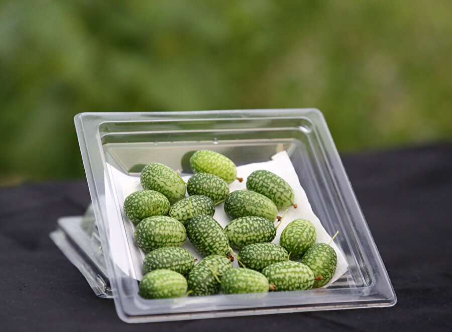 🍉 Görünüşü karpuz gibi tadı ise bambaşka: Ağırlığı sadece 5 gram