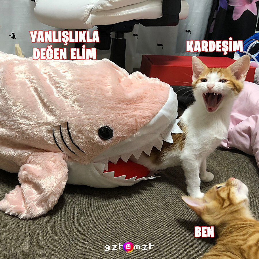 ​Annemlerin yanında kardeşimin önünden geçmişimdir​