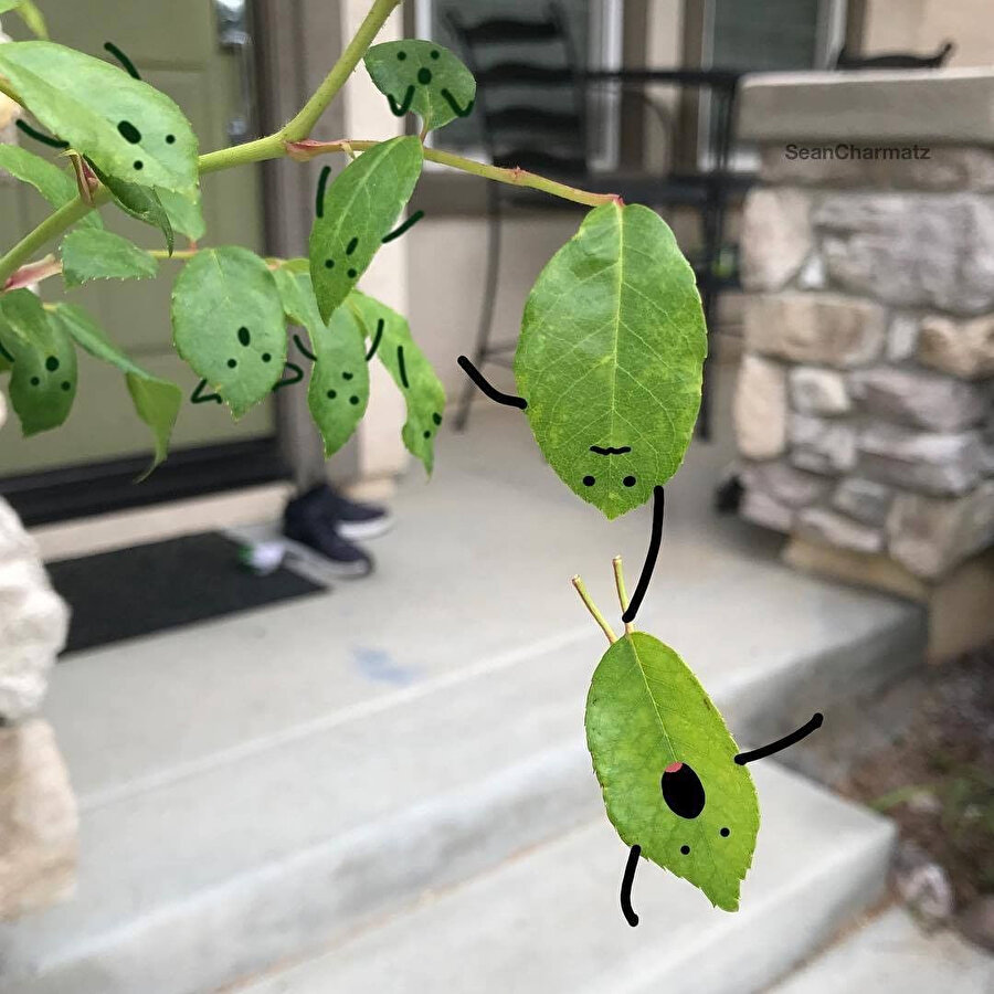 Günlük hayatı 'daha az sıkıcı' hale getirmek 🥳