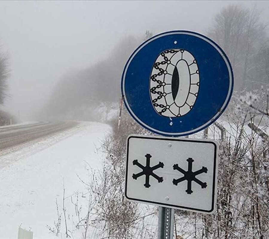 Arşiv