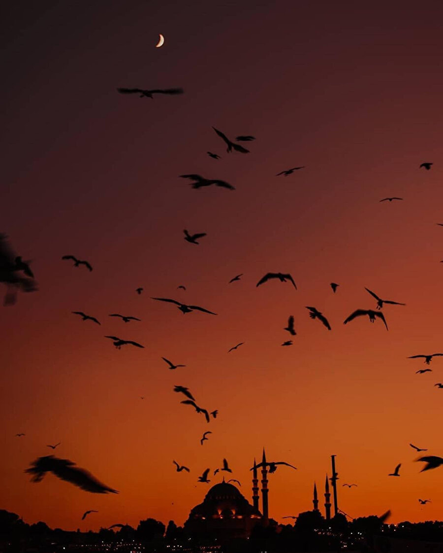 Çaykovski’nin 24 saatlik İstanbul ziyaretinden konuşalım mı? ✨