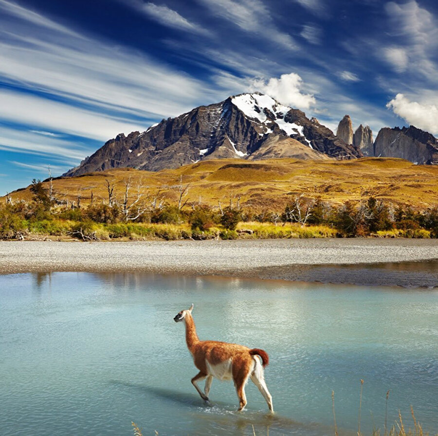 Virüsten başka şeylerden konuşalım, mesela Patagonya’dan 🏔