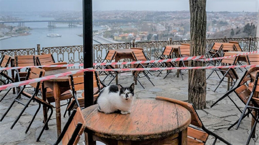 Arşiv
