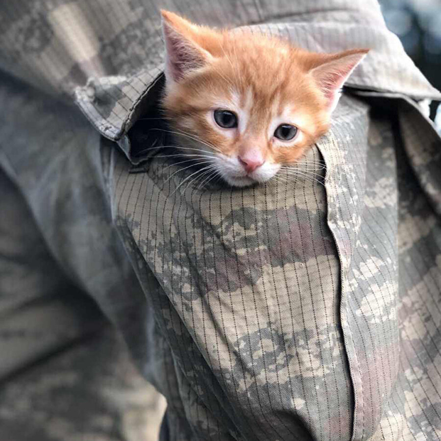 ​Girmediğiniz bir orası kalmıştı