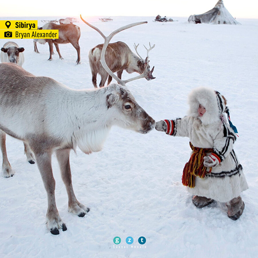 'Dünyadan fotoğraflar'da bugün! 🌎
