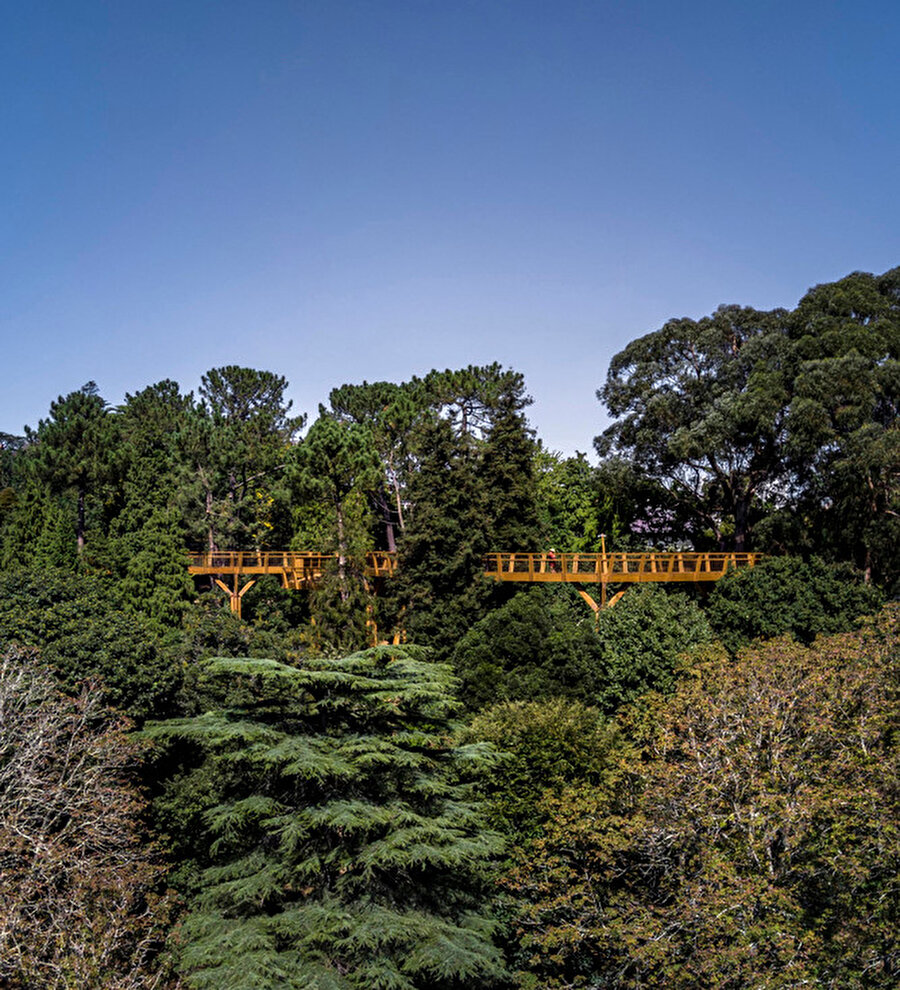 Yürüyüş yolu, parkın panoramik görüntüsünü sunuyor. 