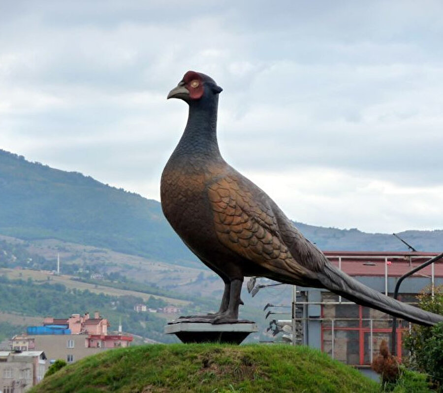 belediyenin ne vakit diktiğini kimsenin bilmediği kuş heykelinin yanında, heykele bir elini atmış şekilde duran İrfan abiye bakar dururdum. 