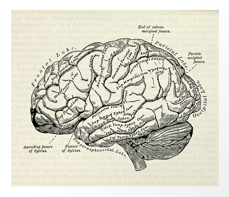 En büyük korkularımdan biri bir gün hafızamı kaybetmektir. 