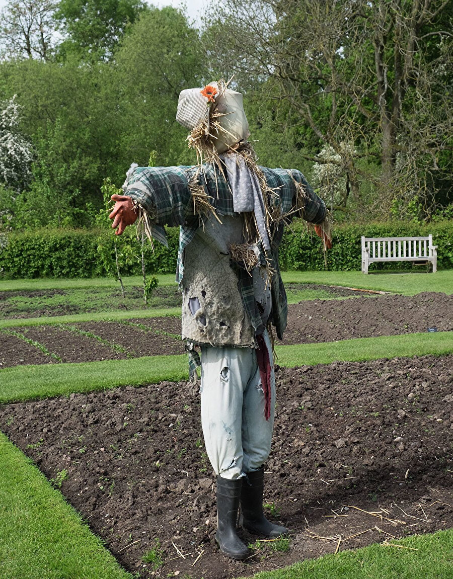 İlk kez kargayı dokuz yaşında gördüm. Diyeceksiniz ki o vakte kadar nasıl karga görmemiş olabilirsin? Bilmem. Sokakta önümden puvvv diye geçmiş olabilir. 