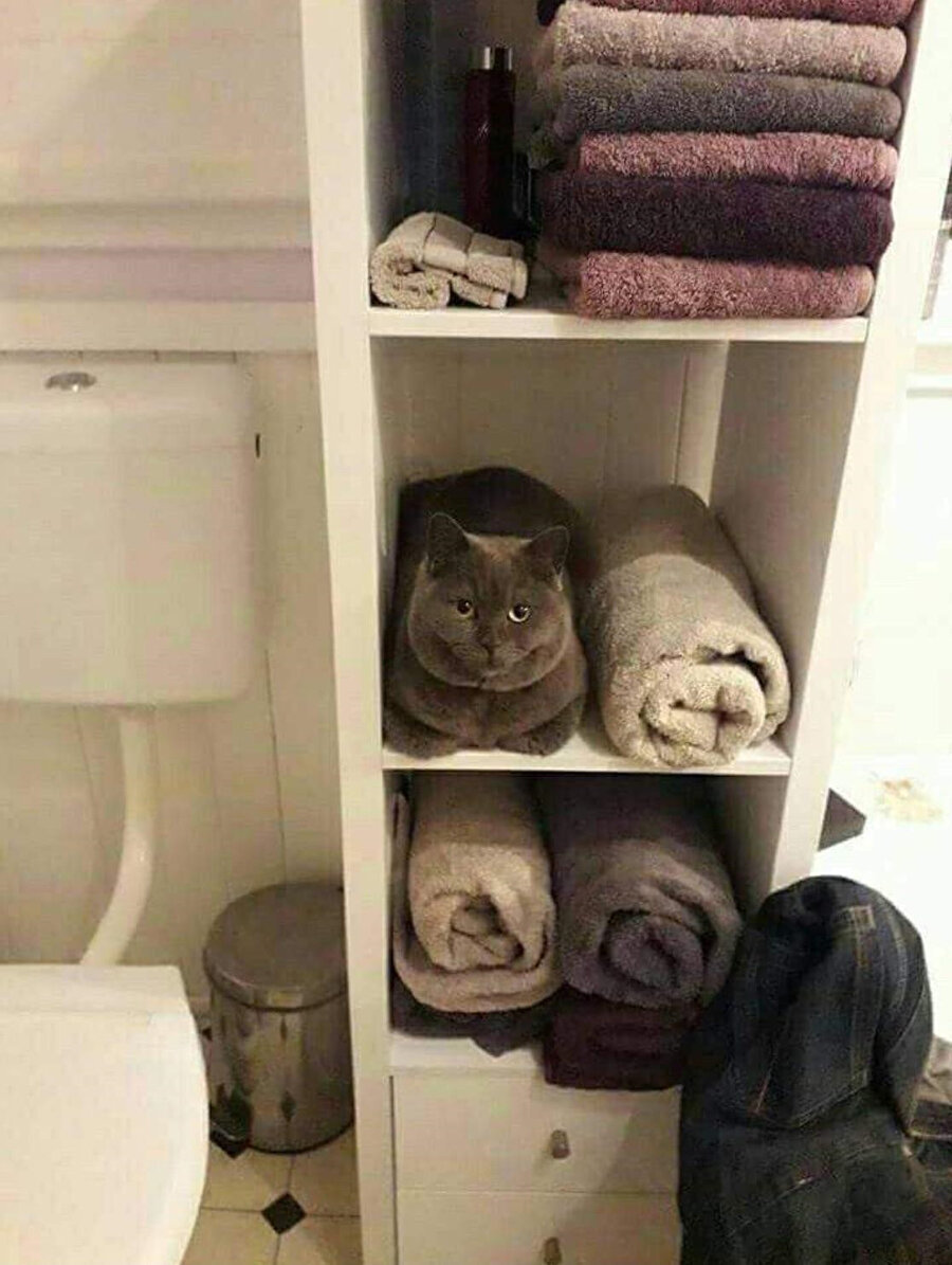 ​Ben aslında havluyum