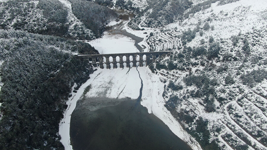 Arşiv