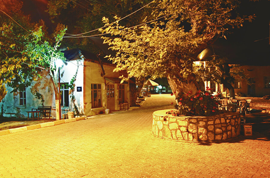 Benim bahtıma verimli topraklar düştü.