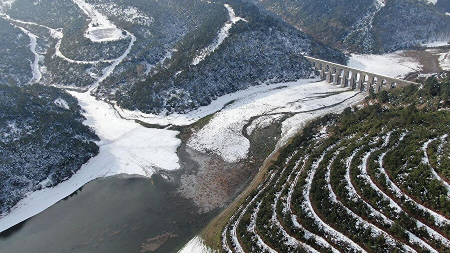 Arşiv