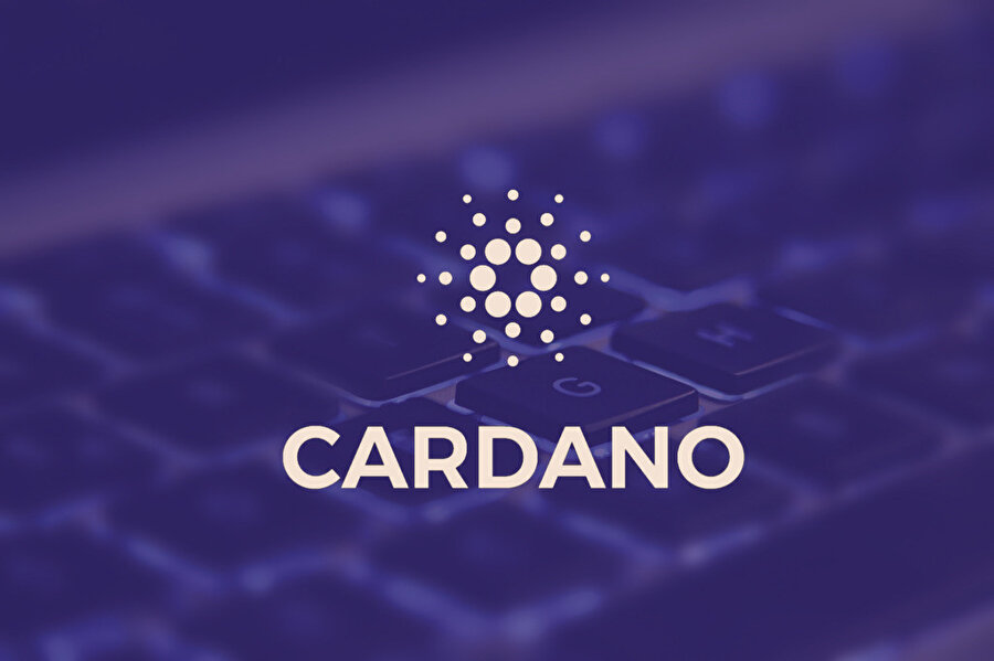 Cardano nedir ve nasıl çalışır sizler için hazırladık.
