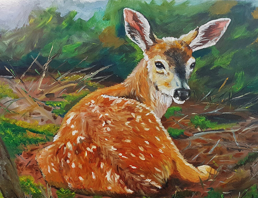 Tabiatın, hiç beklemediğiniz anda, ummadığınız bir yerde karşınıza çıkan harikaları var.