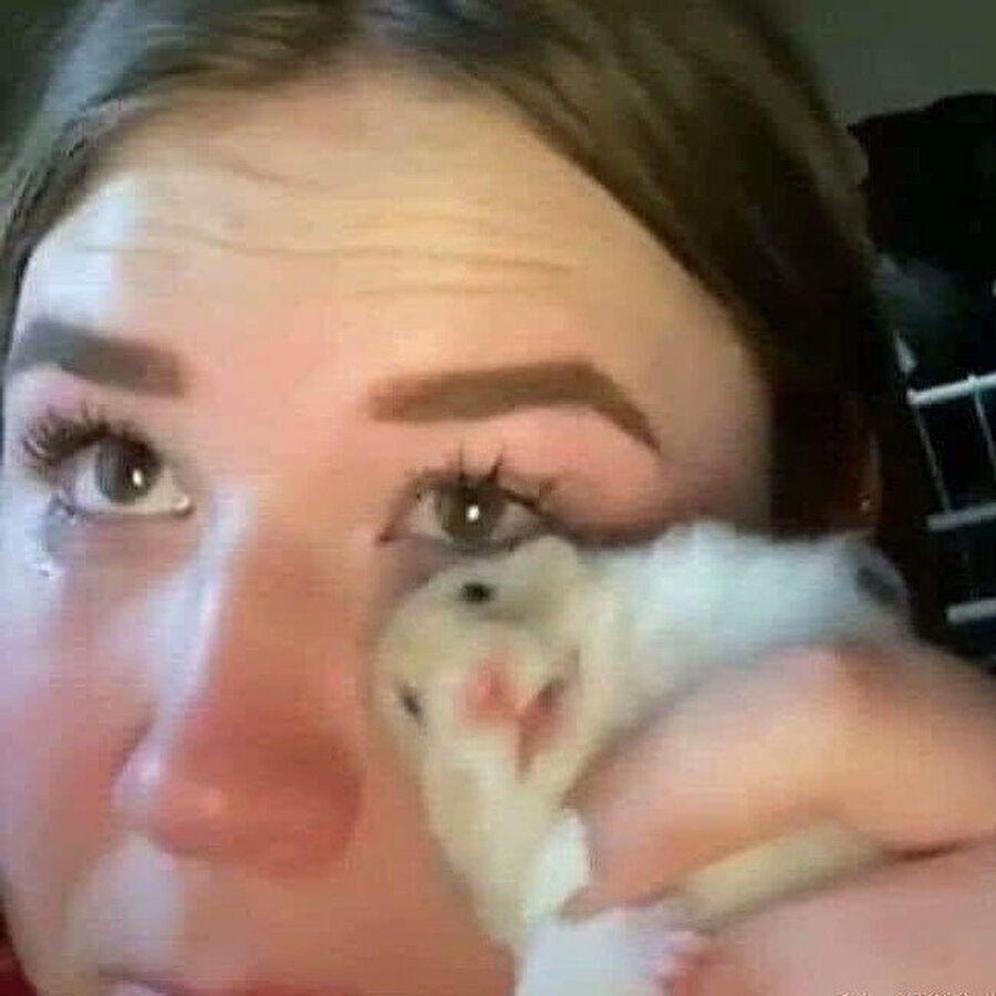 Aynen ya, hayvan sahiplenmek çok iyi geldi bana