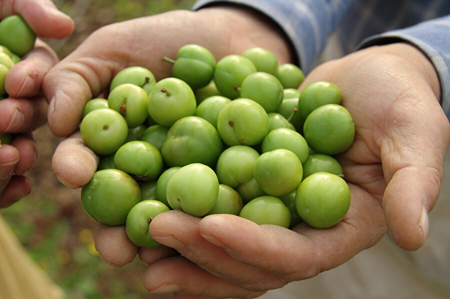 10 gün erken geldi: Eriğin kilo fiyatı dudak uçuklattı