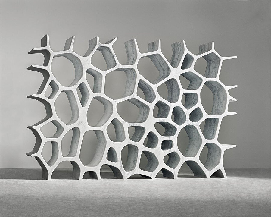 Voronoi Shelf (2007), belirli alanı bir dizi “hücreye” bölen Voronoi Algoritması’na dayanıyor ve beş tonluk yekpare tek damarlı Carrara mermerinden oyuluyor.