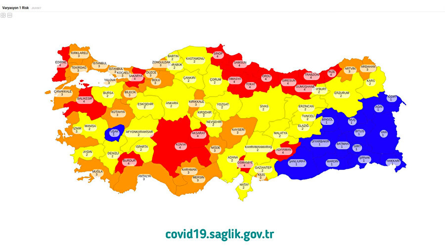 İllerin risk haritası