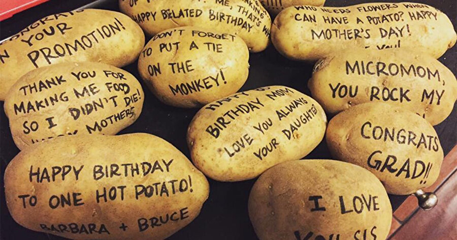 İlginç iş fikirlerini sizler için derledik.