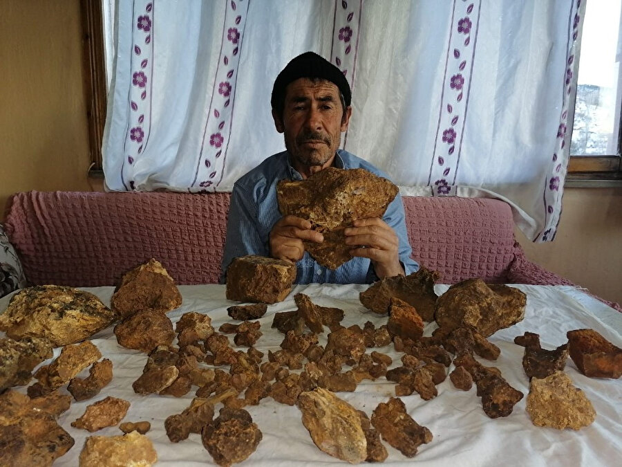 Tarlasında bulup inceletti, hemen satışa çıkardı: Milyoner olabilir