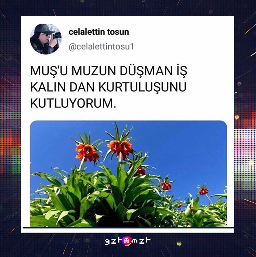​Kesme işareti beni neden kestin diye ağlıyor