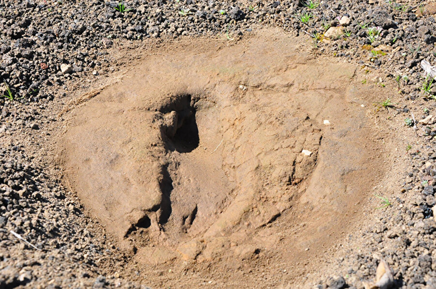 Manisa'da 5 bin yıllık ayak izi keşfedildi