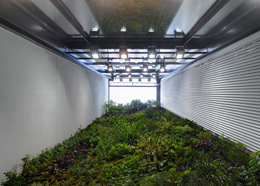 Mimarlar ve Han Tümertekin tarafından tasarlanan, 2F Evi’nin arka cephesinde yer alan, yeşil duvar tasarımı. 