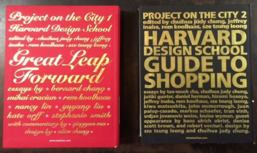 Şehir Projesi kitaplarından ikisi.