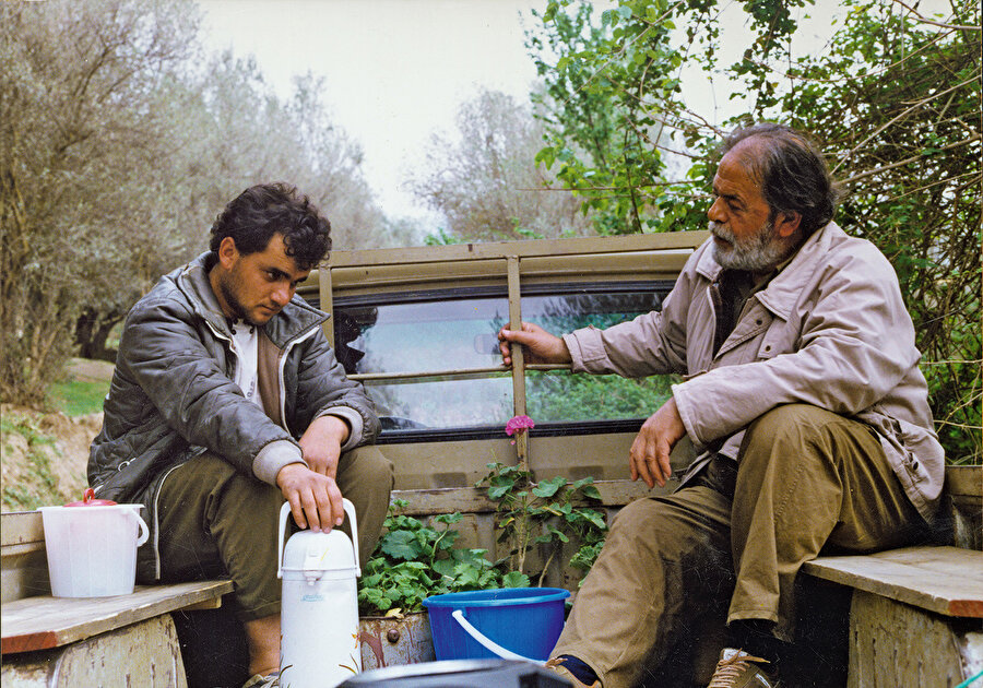 Zeytin Ağaçları Altında