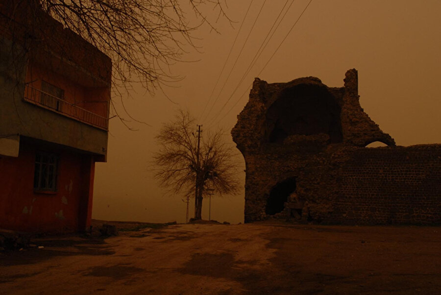 Arşiv