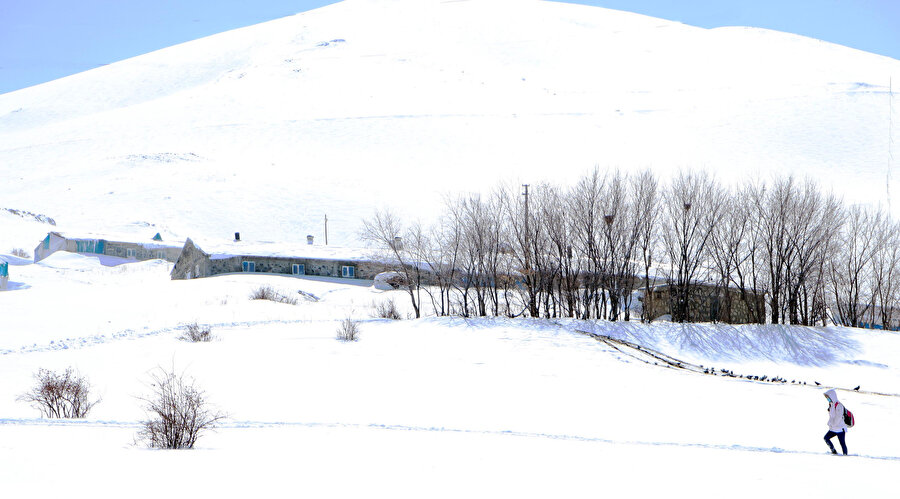 Tüm köy kara gömüldü: Buz sarkıtları üç metreyi aştı