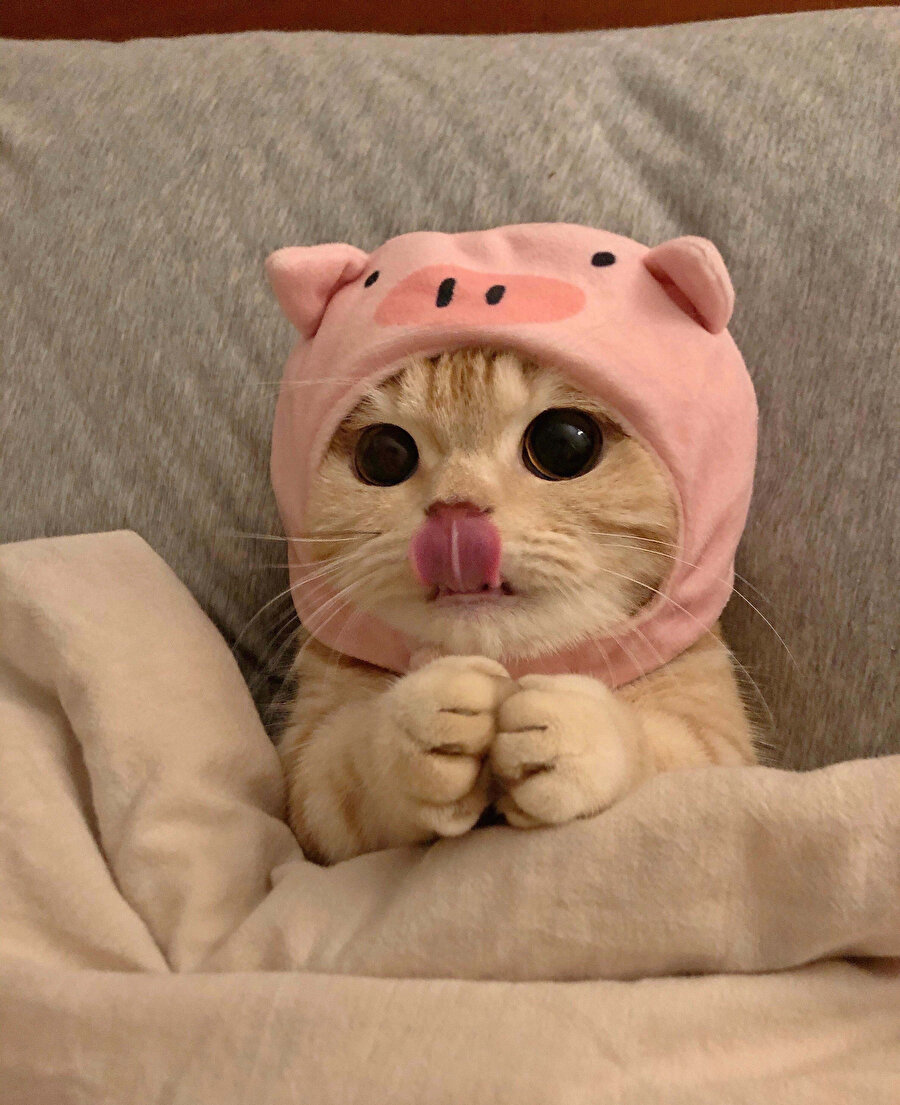 ​Güne tatlış başladık