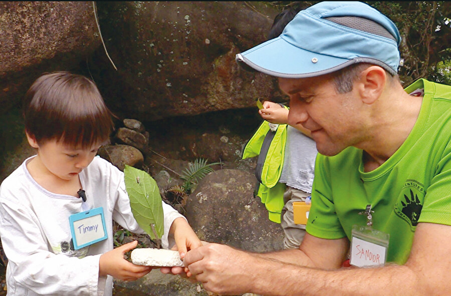 Bu alternatif eğitim yollarını alternatif yapan şey, modernin pozitivist paradigmaya karşı duran epistemolojinin ürünleri olmasıdır.