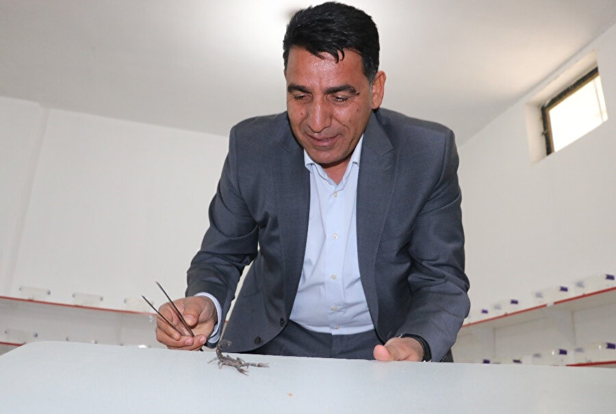 Şanlıurfalı 'Akrep Ali'