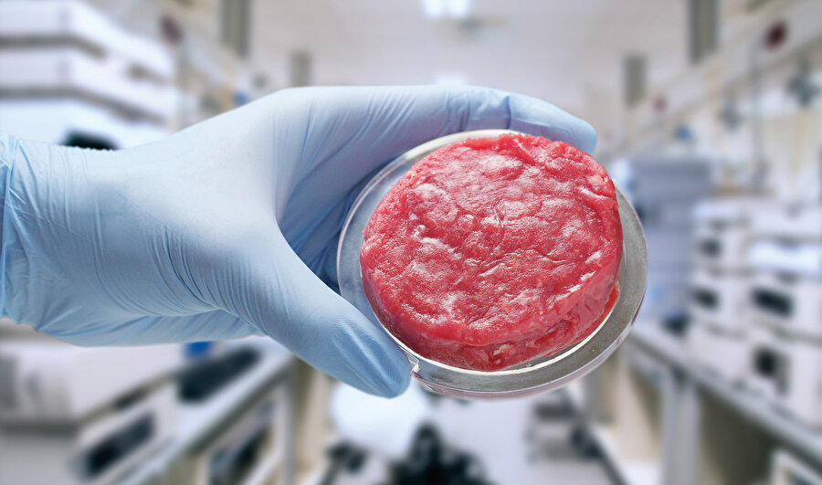 Beyaz Et Sanayicileri ve Damızlıkçıları Derneği İktisadi İşletmesi BESD-BİR’in başvurusu üzerine, GDO’lu ürünlere izin veren Tarım Bakanlığı acaba bu izin sürecinde bu hocalara görüşünü sordu mu?Elbette sorulmadı! Niye? Sorsalar, menfi görüş gelecek ve markalarını gizlemek için derneklerin ardına sığınarak millete GDO’lu et, süt, yumurta yedirip içirenlerin tezgâhı bozulacak