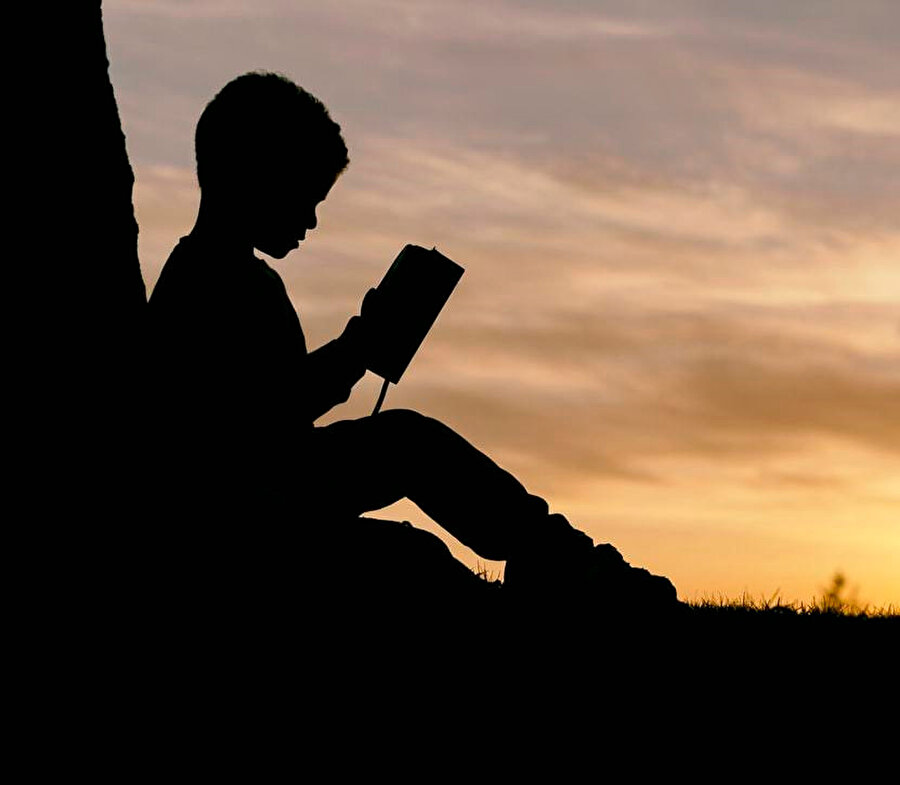 Sağlık, kilise, medya, ordu gibi kurumların eleştirisini de içine alacak biçimde, Batı’da okul karşıtı bir söylem repertuarı oluşmuştur.