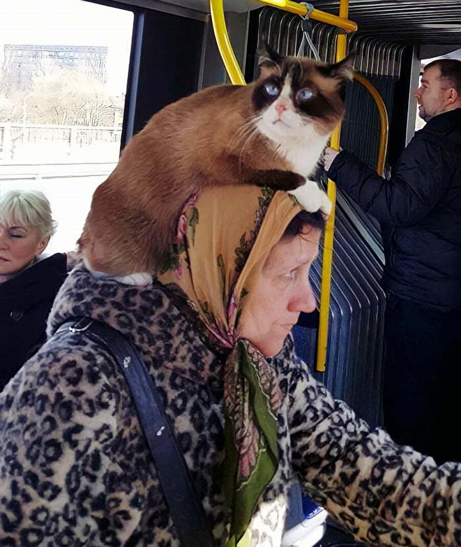 Приколы в общественном транспорте