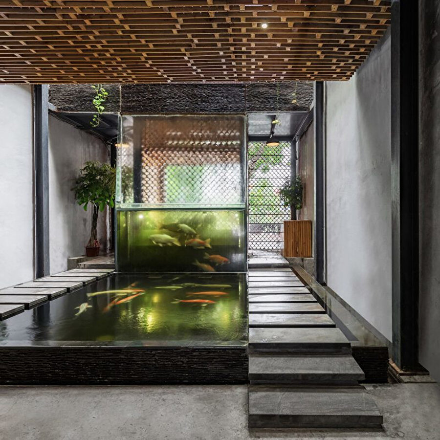 Koi balıklarının bulunduğu alan.