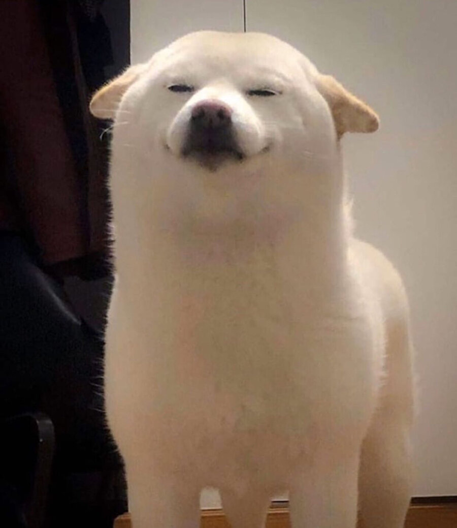 Annem ekmek almaya kardeşimi göndermiştir