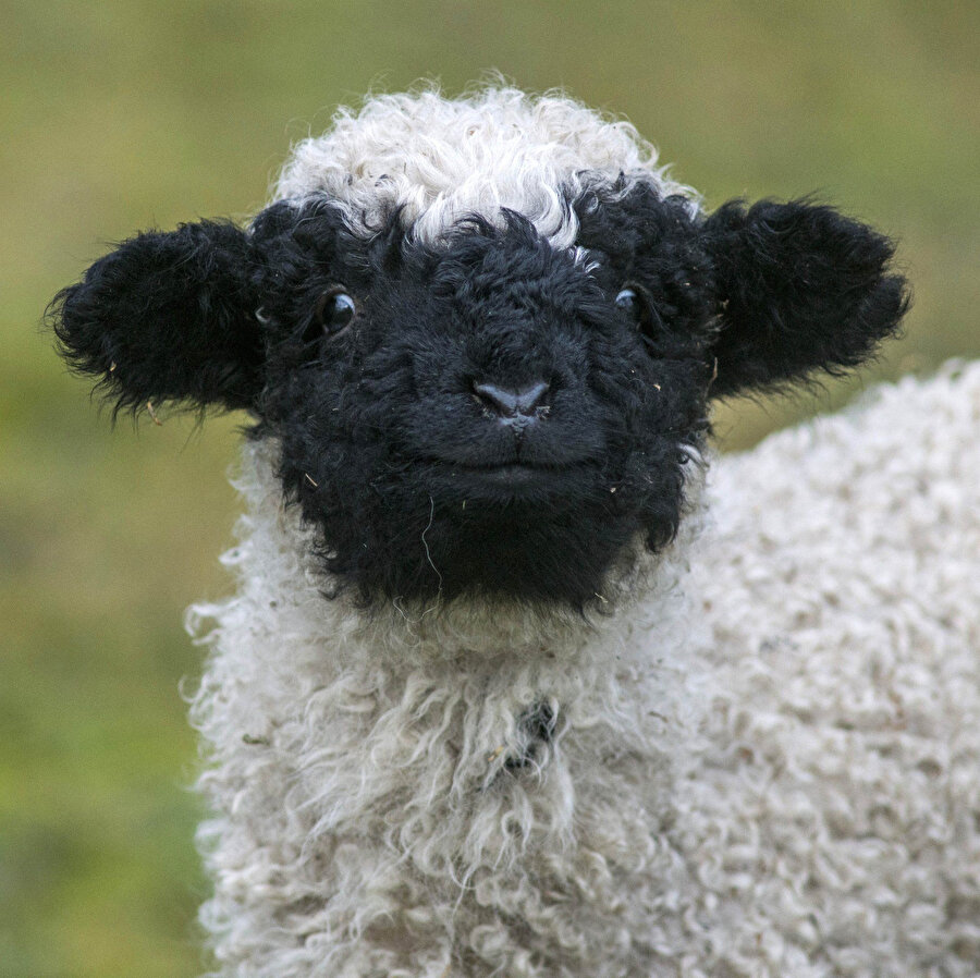 Güne güzel başlangıçlar