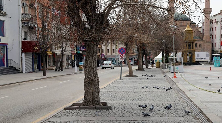 Arşiv