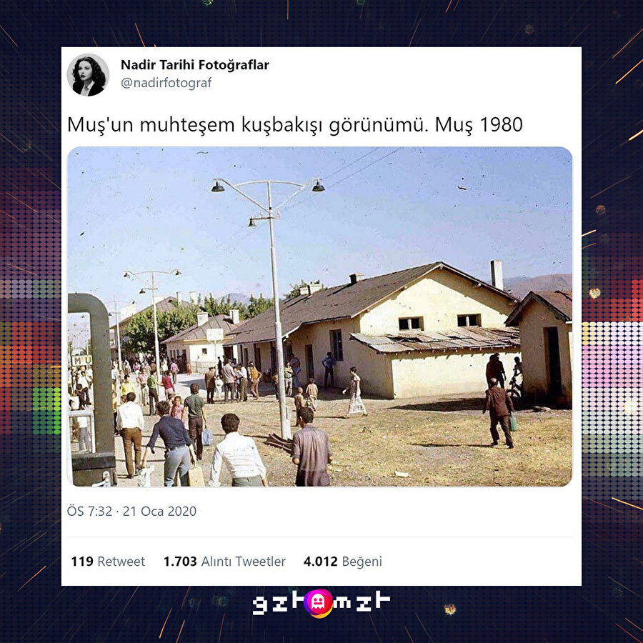 ​Hangi kuş penguen mi?